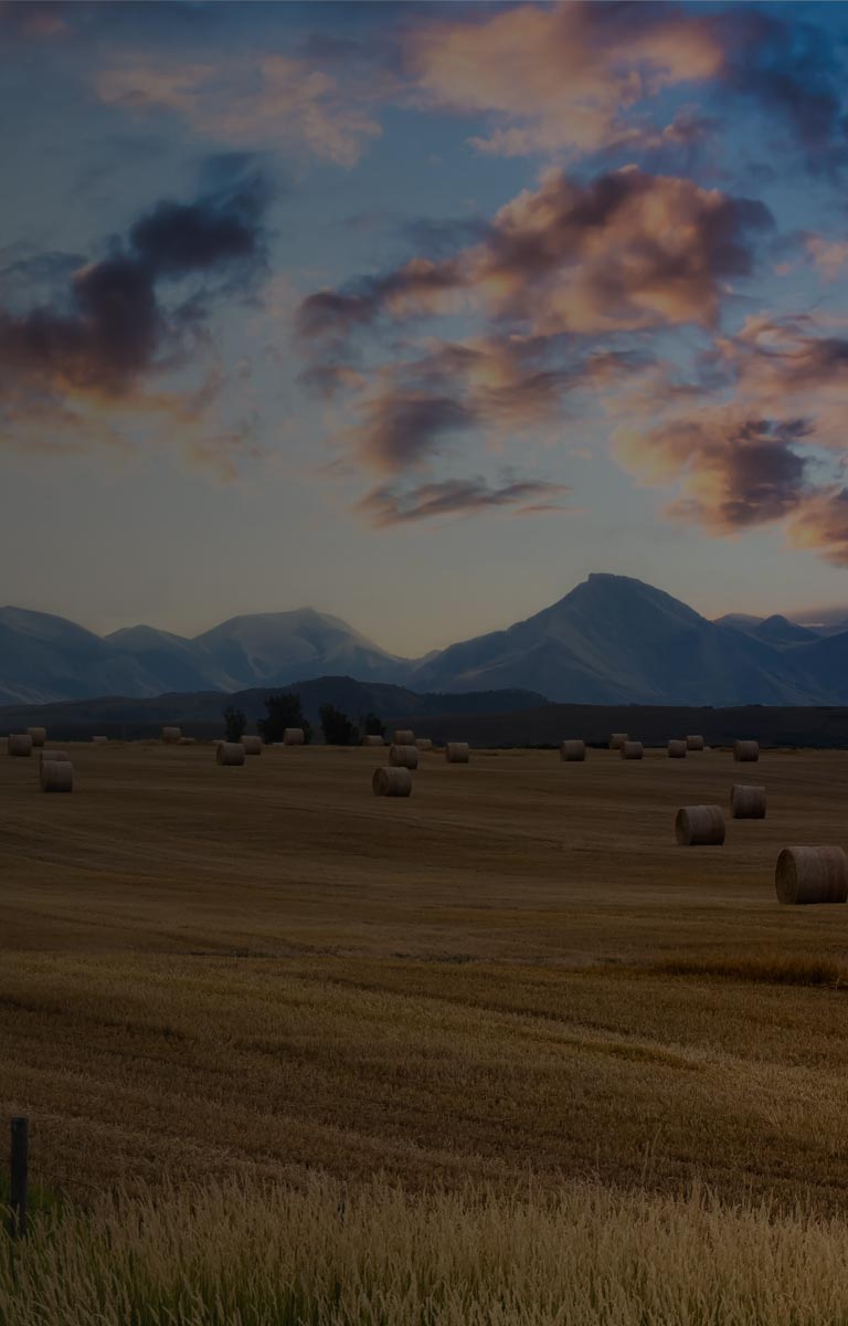 Beautiful countryside with mountains mobile